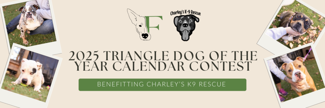 The 2025 Triangle Dog of the Year Calendar Contest benefits Charley's K9 Rescue.